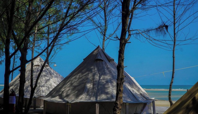 Safari tent Amazing Camping Vivu24h