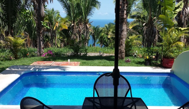 Secluded 2 bedroom duplex with private pool and gorgeous jungle and ocean views!