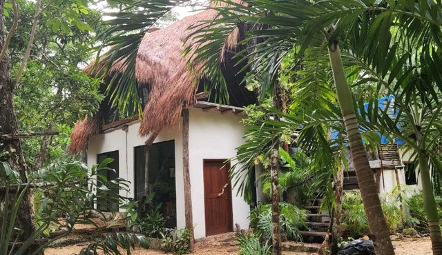 SELVA ROCA