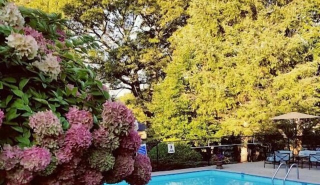 Starlight Lodge Cape Cod