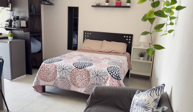 Stay in a good location in Puebla: Accessible and very well connected.