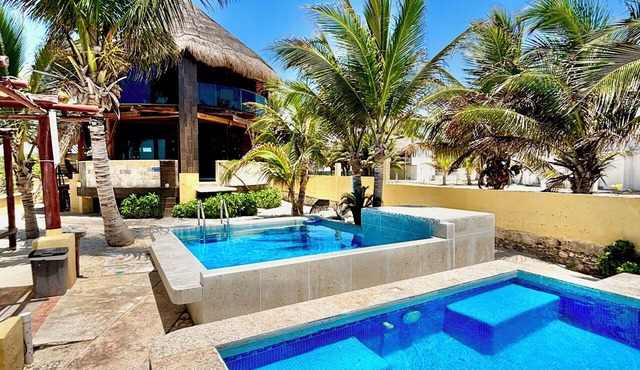 Stunning 3-Bedroom Beachfront Apartment with pool, Chef, Staff & Internet