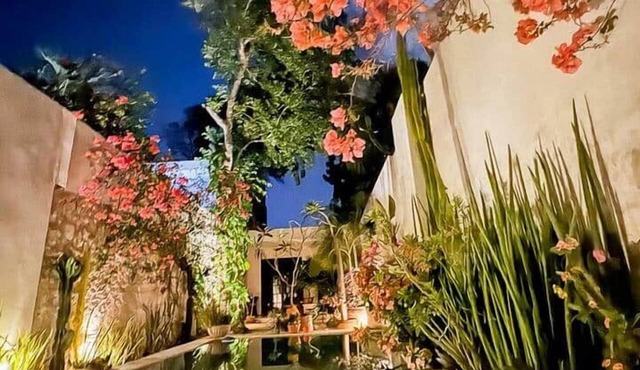 Stunning Art Deco Oasis in Centro Historico