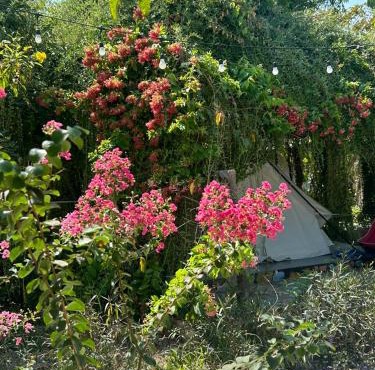 Suối Đá F-Glamping