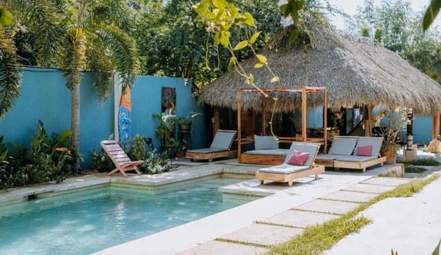 SurfNest Hostel