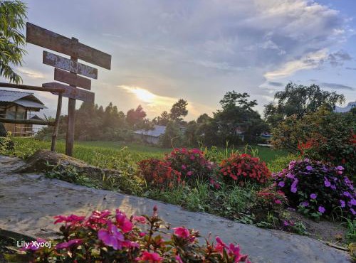 Tổ Ếch Homestay