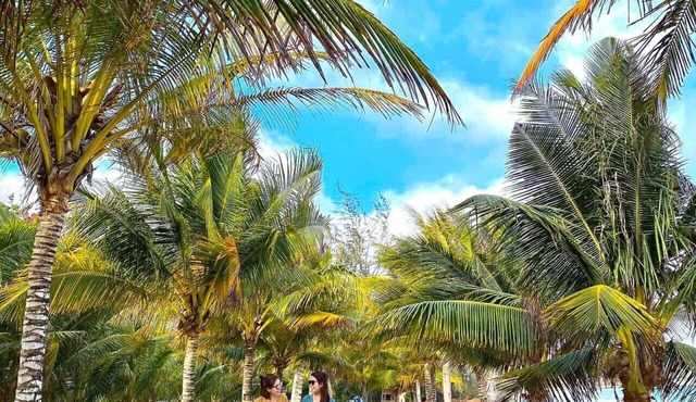 Tan Son Nhat Con Dao Resort