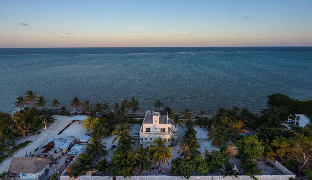 Tarpon- Beachfront Apartment (4 guests), Level 2