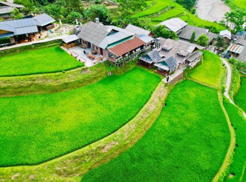 Tavan Paddy Field Homestay
