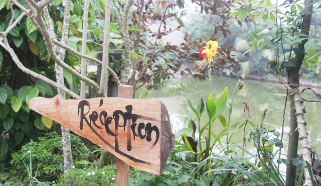 Thai Binh Garden