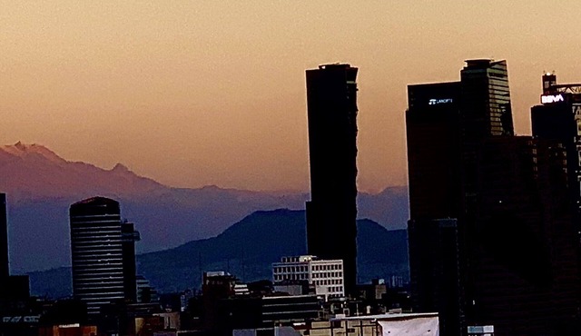 The Best Development of Polanco "Miyana"