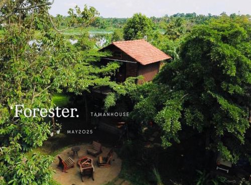 The Forester Chalet