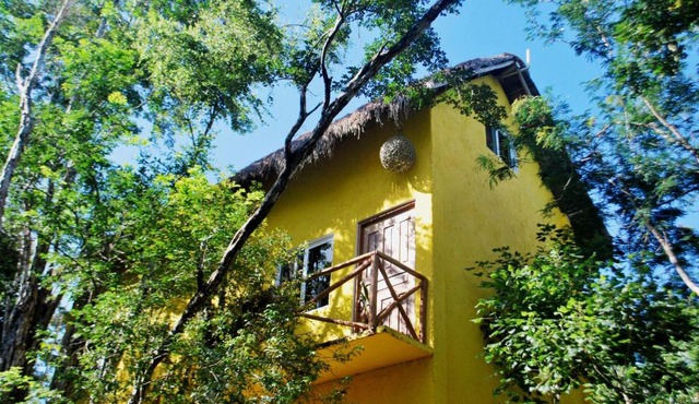 The Yellow House