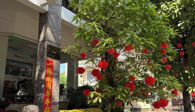 Thien Ha Hotel