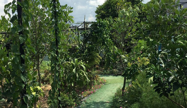 Thu Huynh Homestay - Hostel