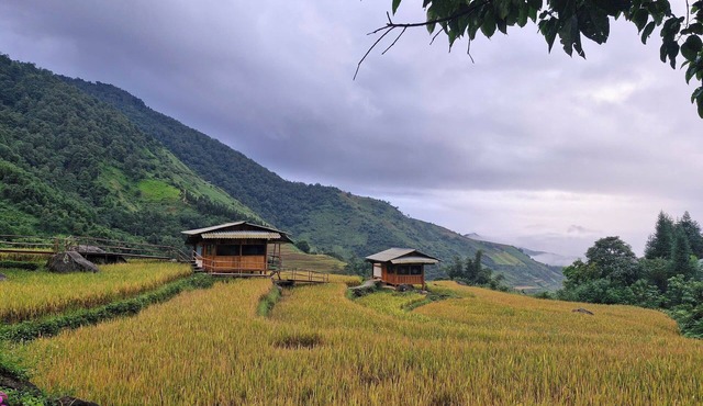 To Ech Homestay
