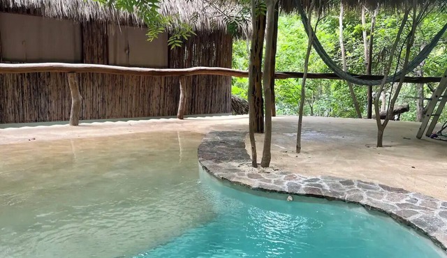 Tree house at a superb virgin bay with starlink