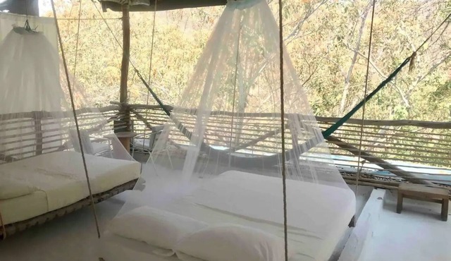 Tree house Pergola Swimming pool at a virgin beach