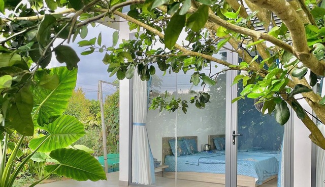 Tropical Fruit Garden Homestay