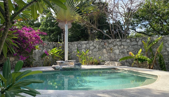 Tropical Garden Stay Just Minutes from Airport