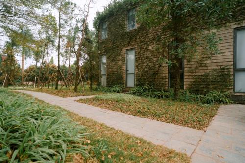 Veco Pine