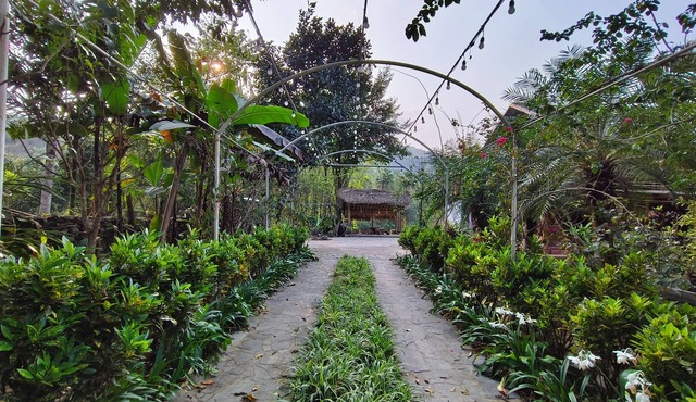 Vietnam Village Homestay
