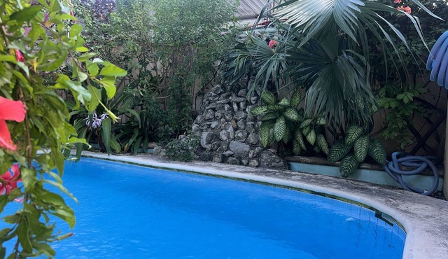 Villas Velarde: Studio in downtown Cozumel with pool