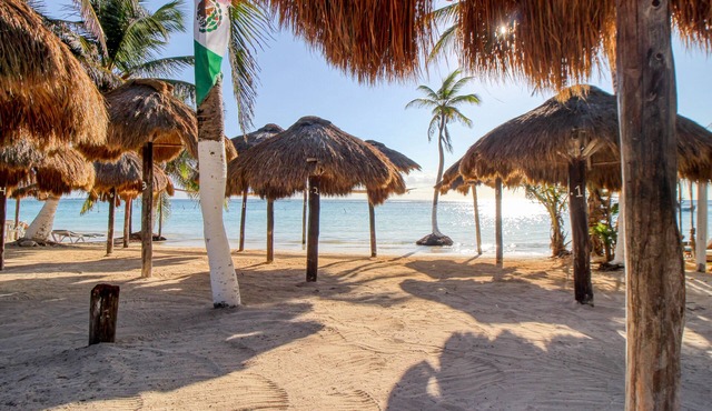Walk-out apartment with plunge pool, private patio, and WiFi - near beach