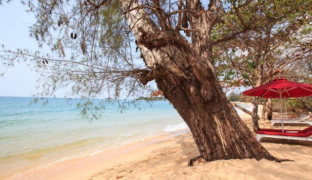 Wild Beach Phu Quoc Resort