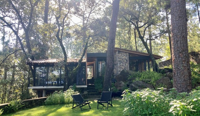 Xomue Suite 3