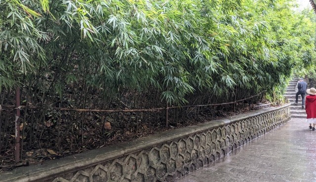 Yen Tu Boutique Zen Garden