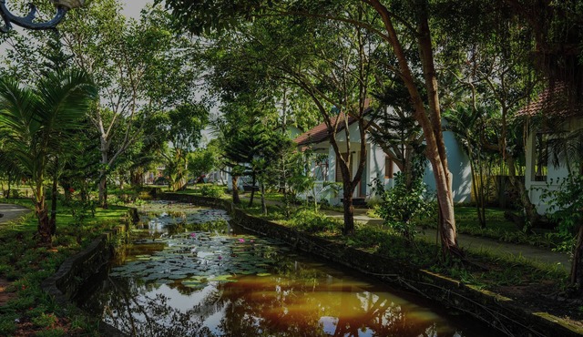 YNG - LUXOR RESORT PHU QUOC
