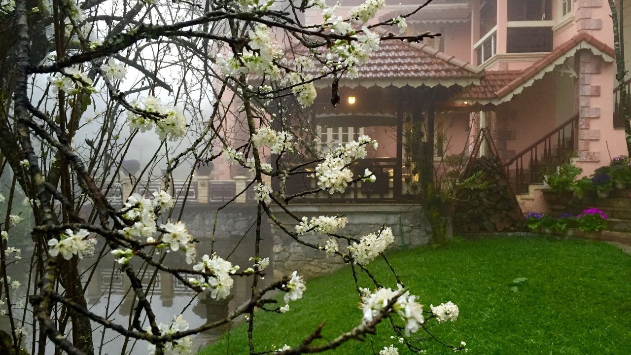 Photo of Buildings in Cha Pai
