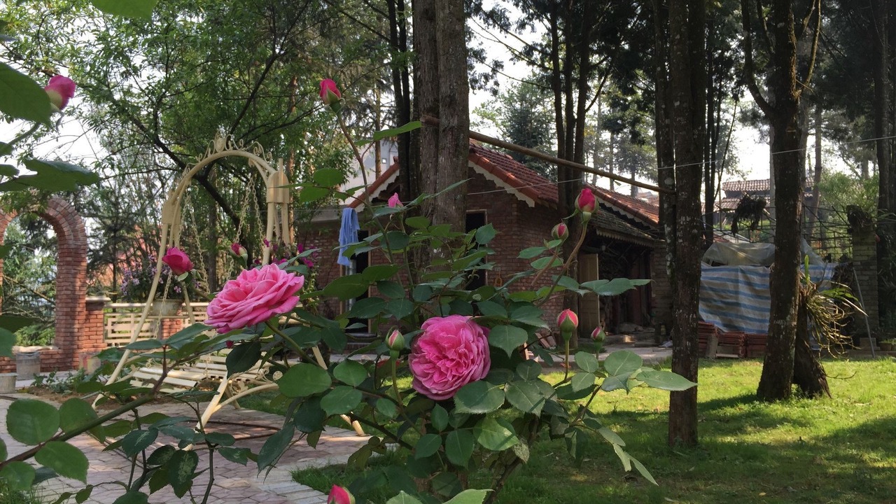Photo of Others in Cha Pai