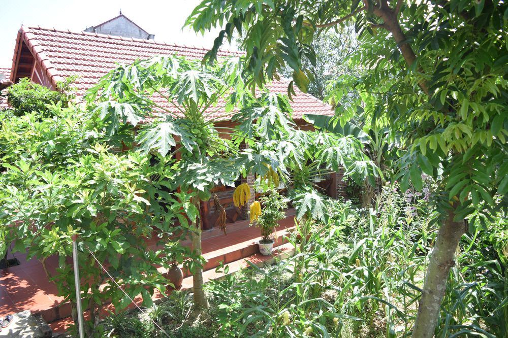 Photo of Others in Gia Vien