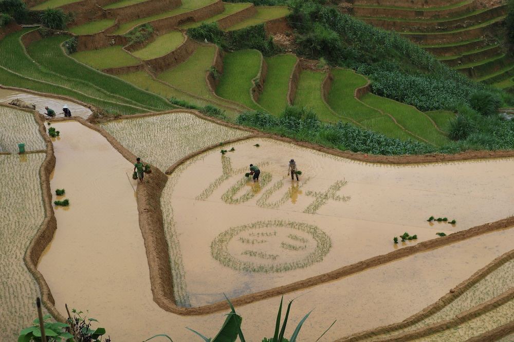 Photo of Others in Mu Cang Chai