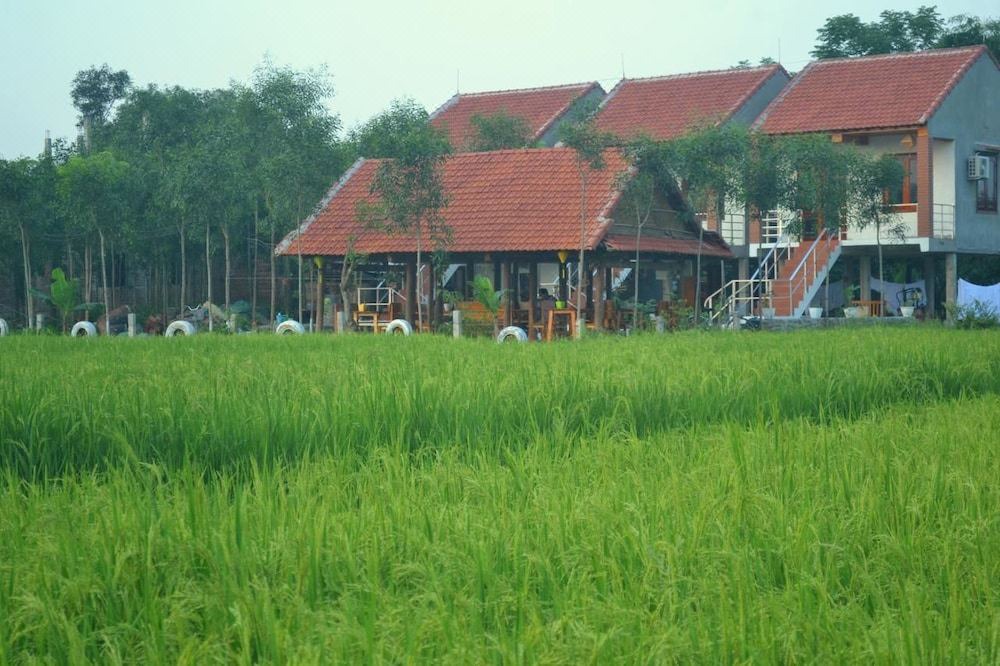 Photo of Buildings in Son Trach