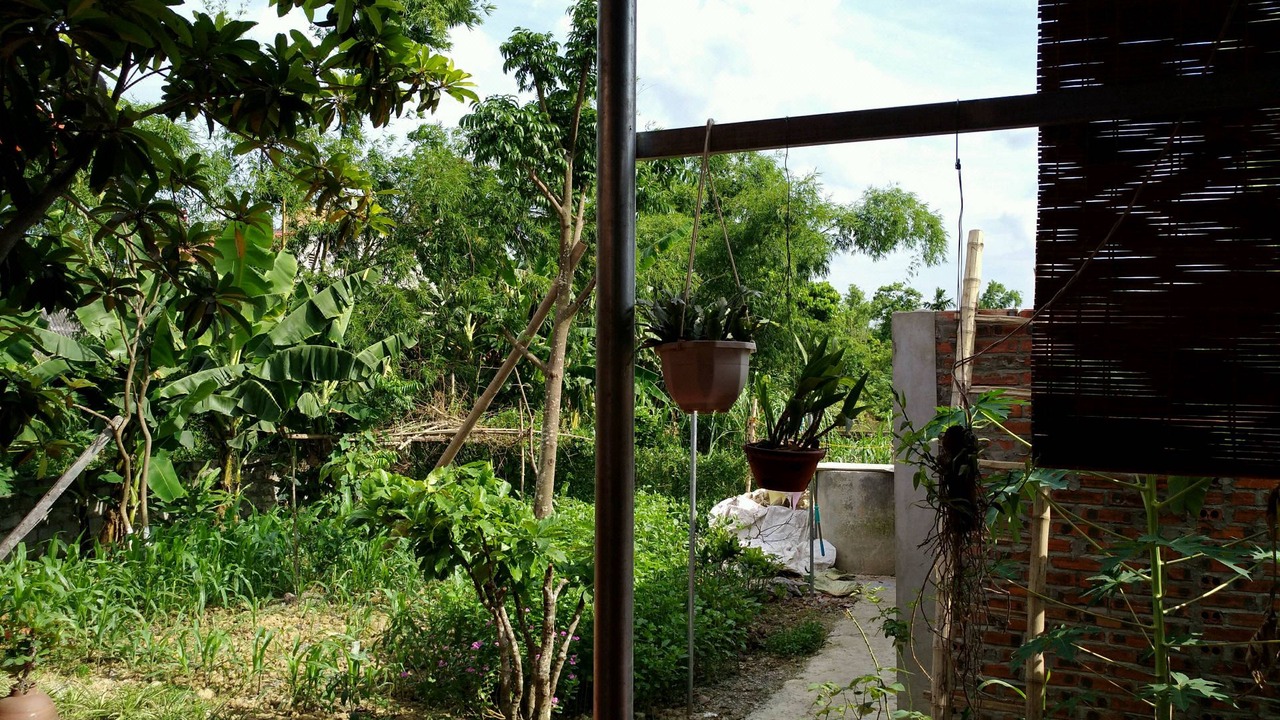 Photo of Others in Gia Vien
