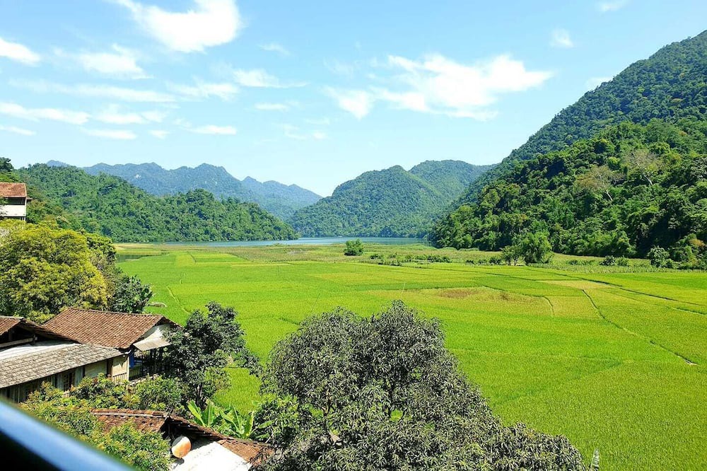 Photo of Others in Nam Mau