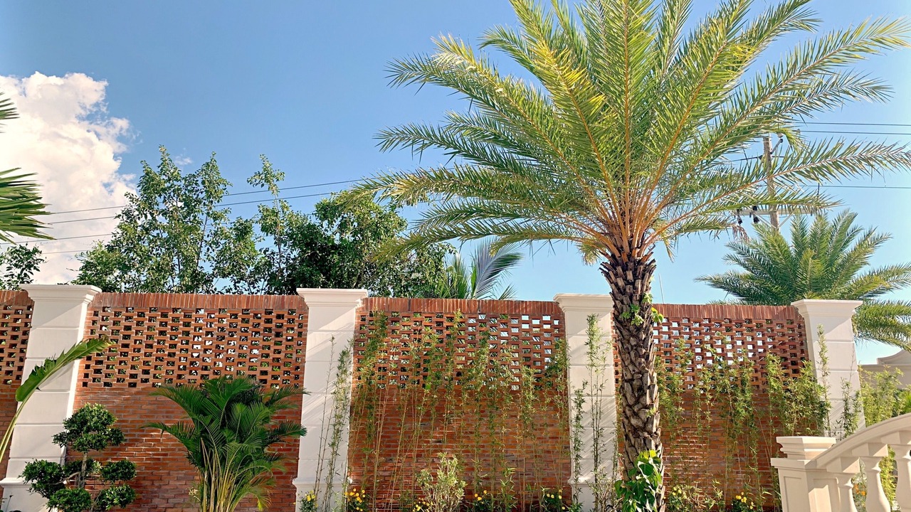 Photo of Outdoor in Soc Trang