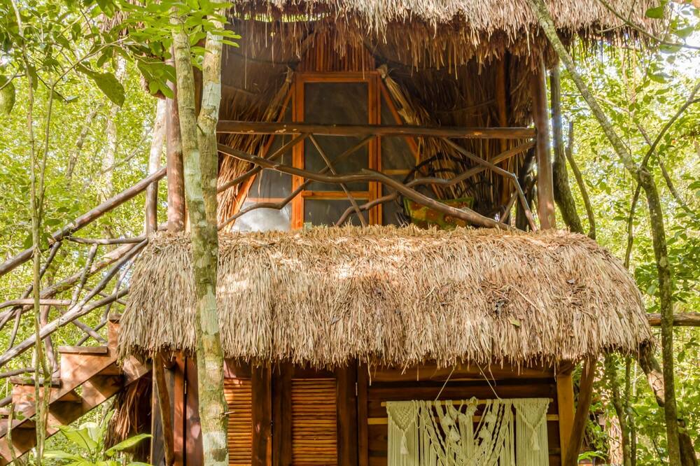 Photo of Outdoor in Leona Vicario