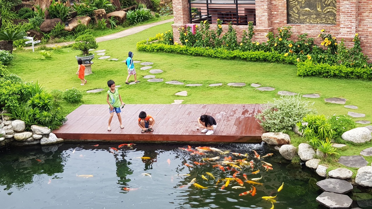 Photo of Outdoor in Phu My