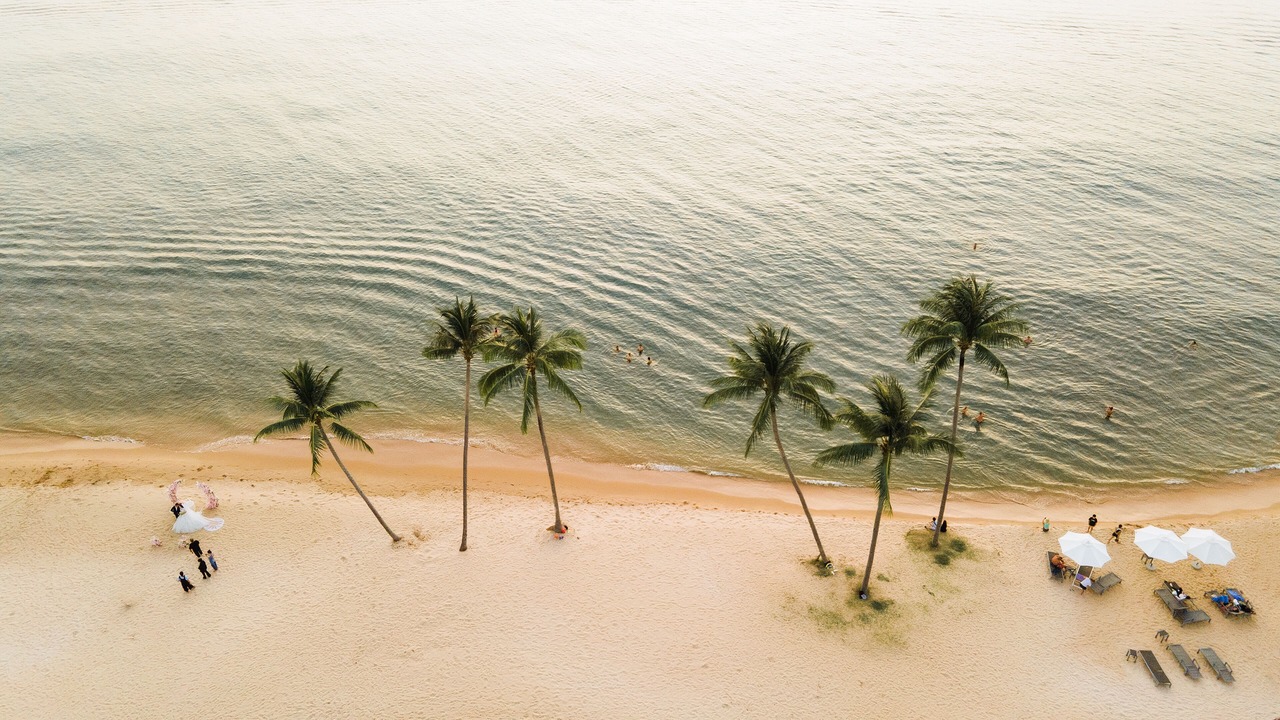 Photo of Others in Long Beach