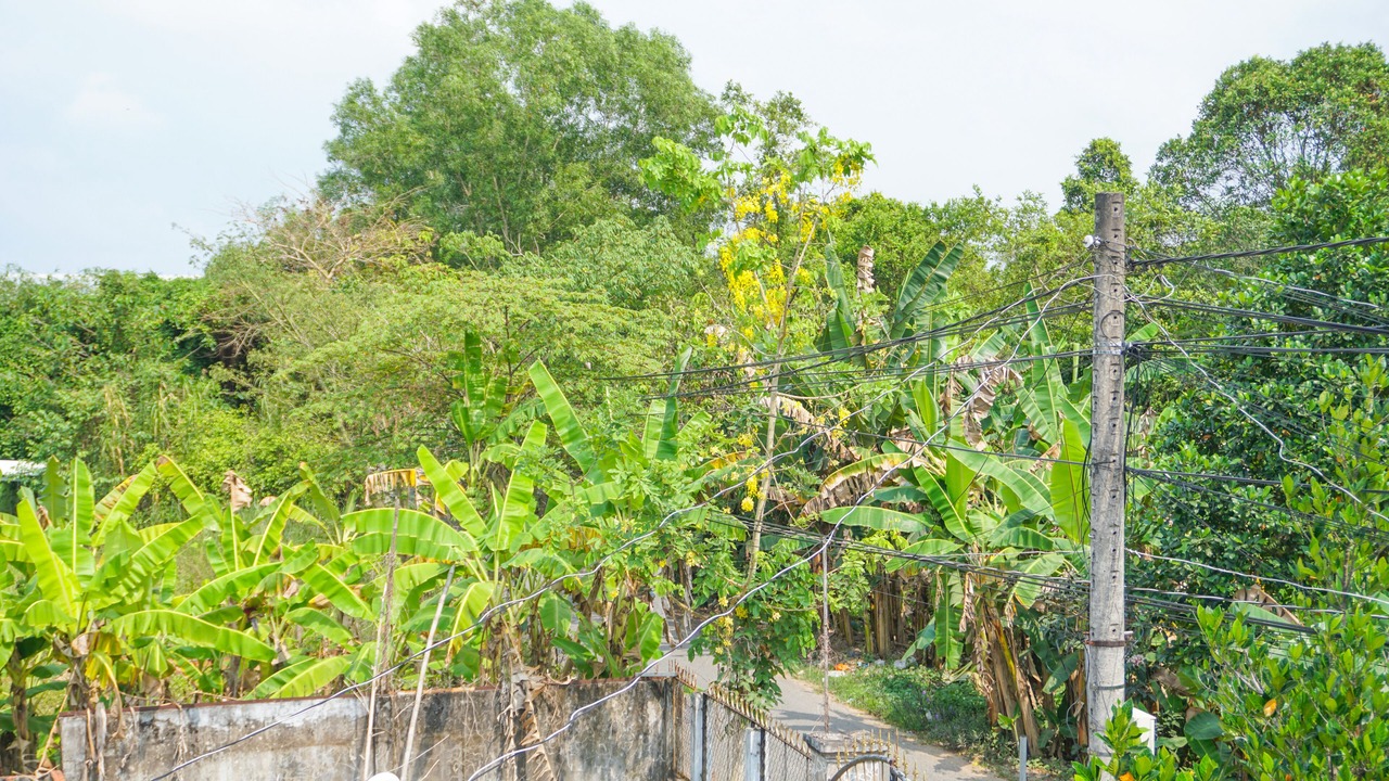Photo of Others in Binh Thuy