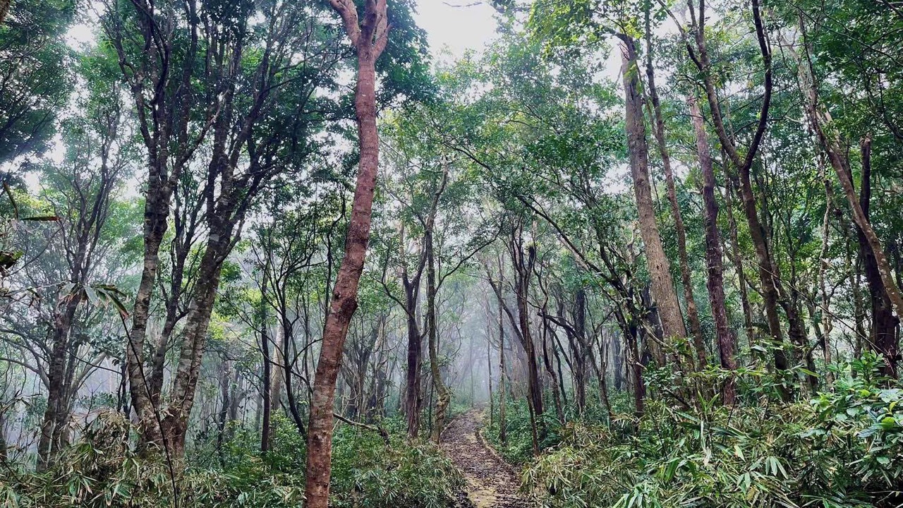 Photo of Outdoor in Con Son