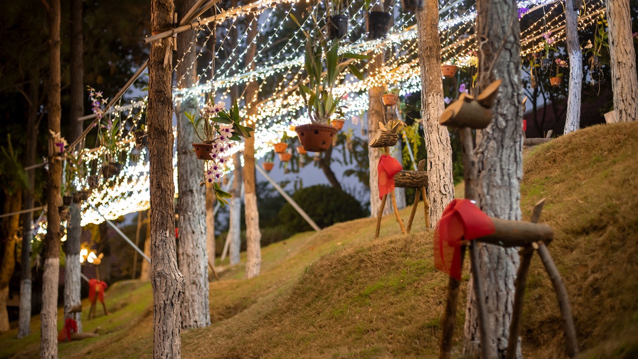 Photo of Outdoor in Bac Ninh