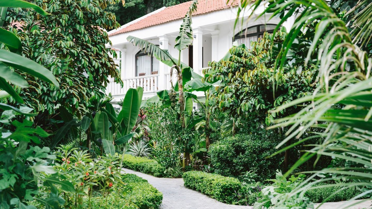 Photo of Others in Hoa Lu