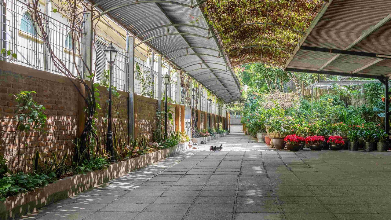 Photo of Outdoor in Ngo Quyen