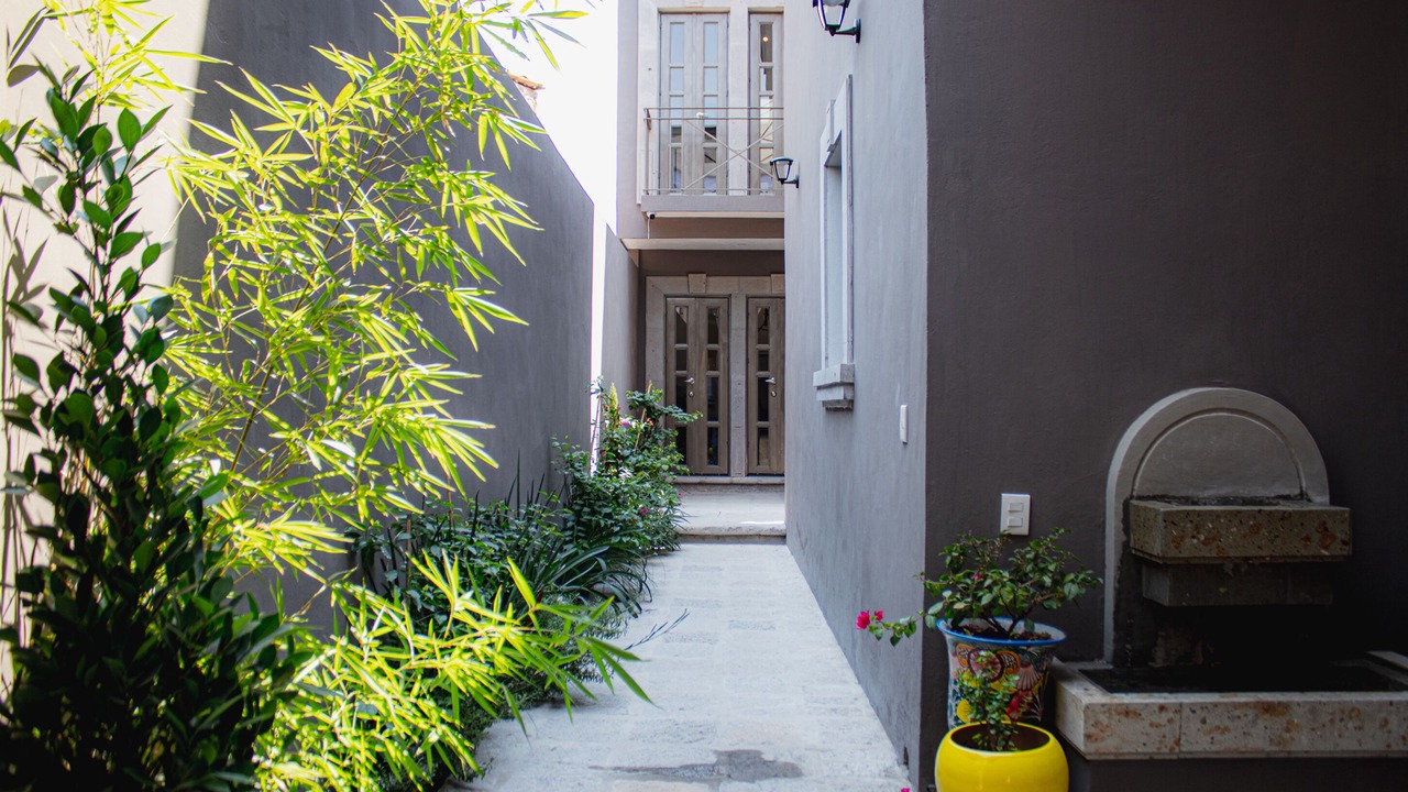 Photo of Outdoor in Allende
