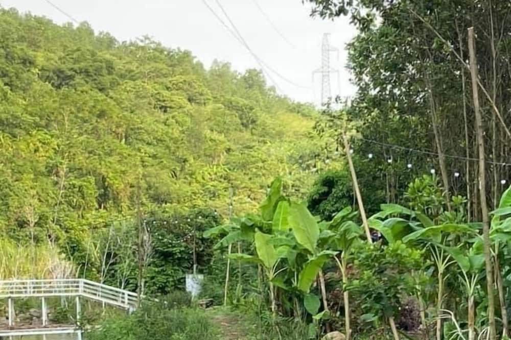 Photo of Outdoor in Luong Son
